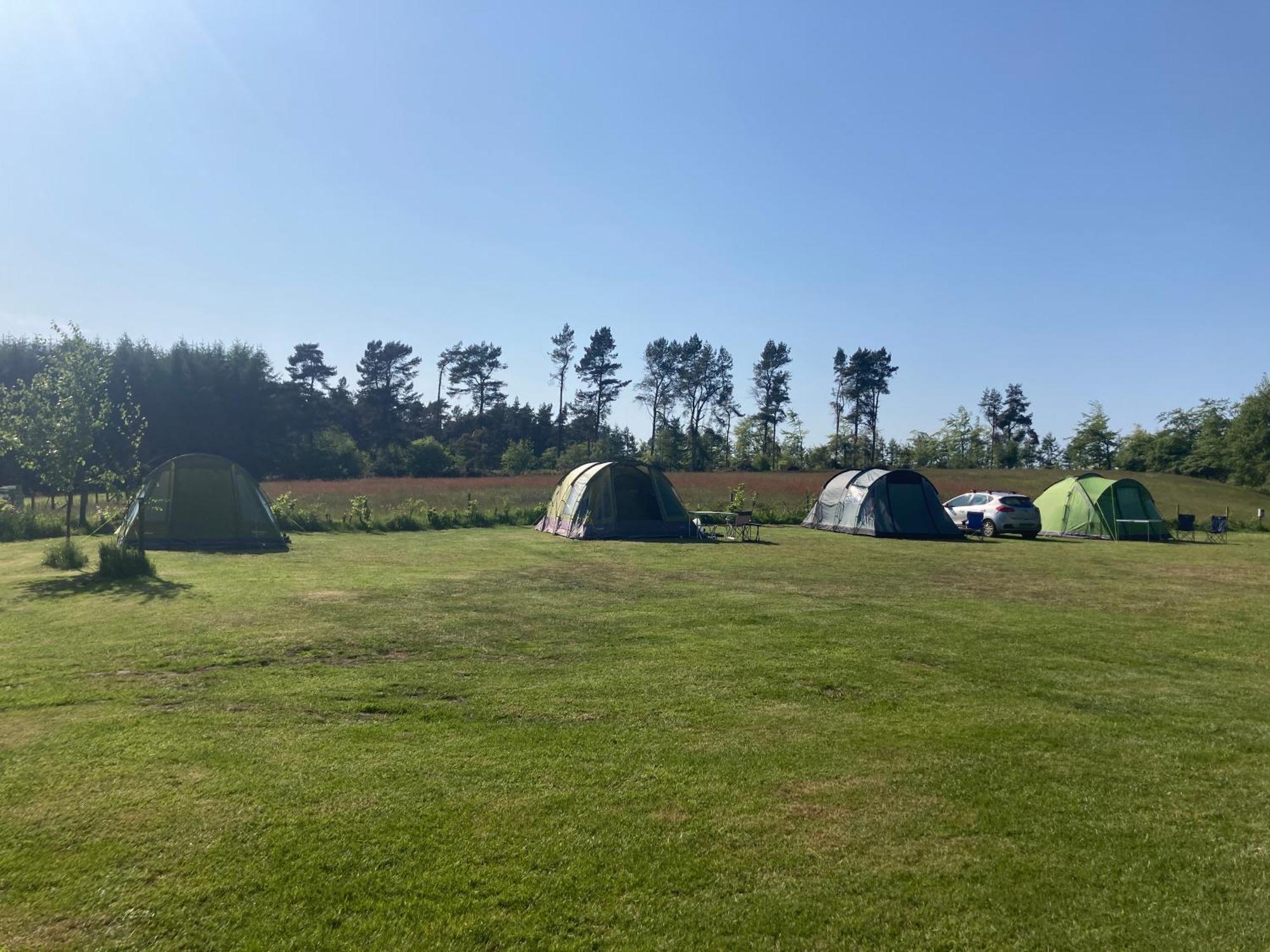 Bank Top Camping-North York Moors With Pitches For Caravans, Camper Vans And Tents Hotel Pickering Buitenkant foto